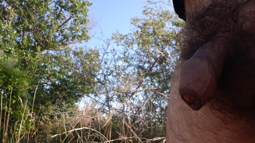 Dans les bois
 #89825485