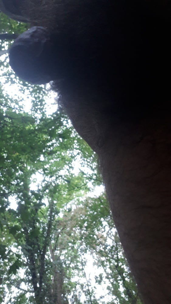 Dans les bois
 #89825491