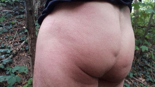 Dans les bois
 #89825493