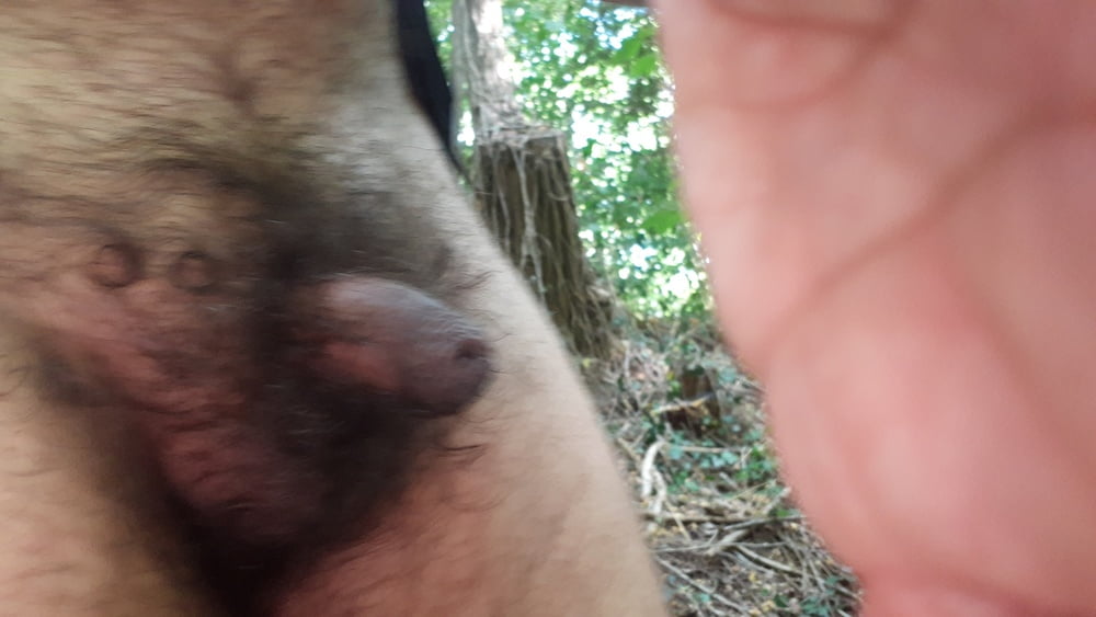 Dans les bois
 #89825507