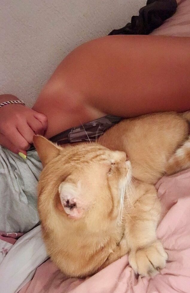 Tina Dakic desnuda #108831675