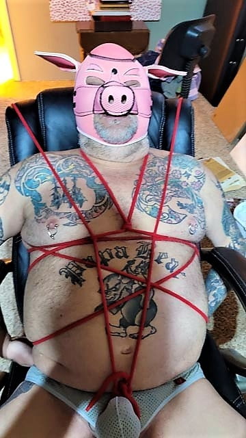 Rover at play #107035378