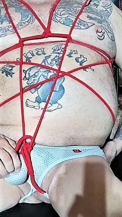 Rover at play #107035382