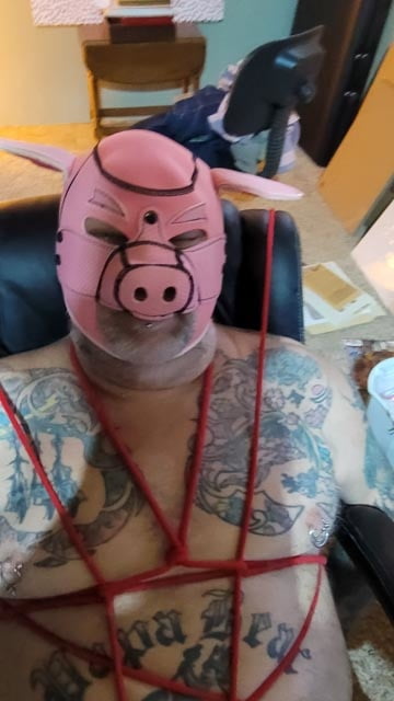 Rover at play #107035384