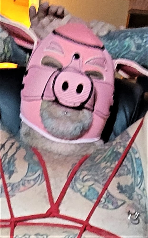 Rover at play #107035403