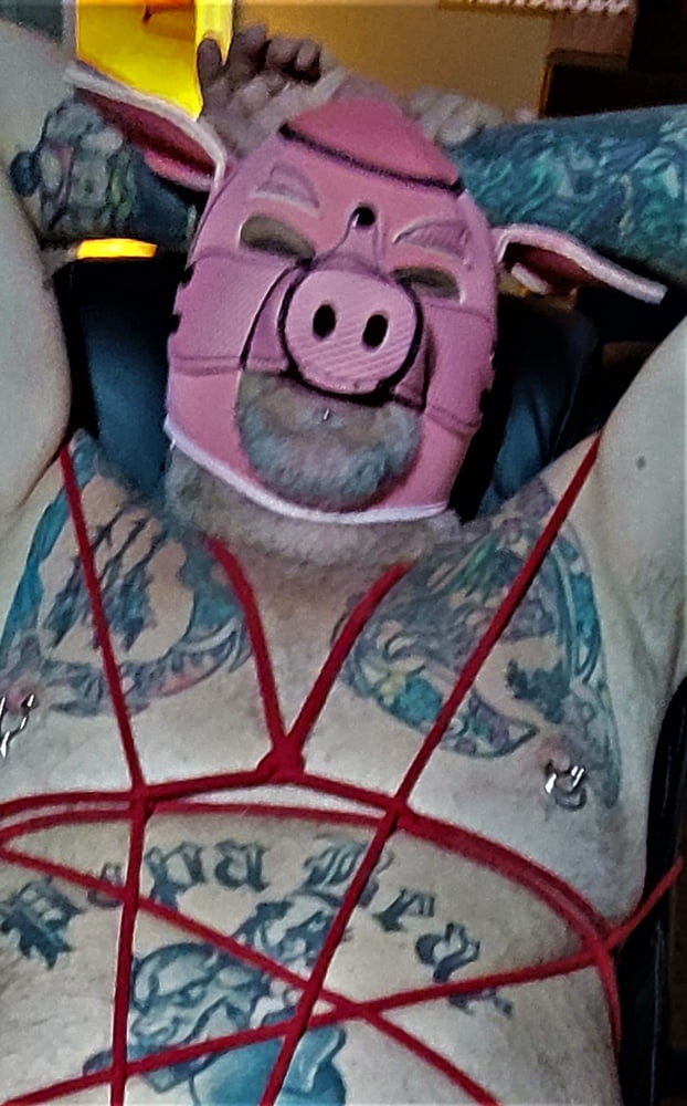 Rover at play #107035404