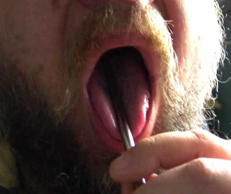 Rover at play #107035421