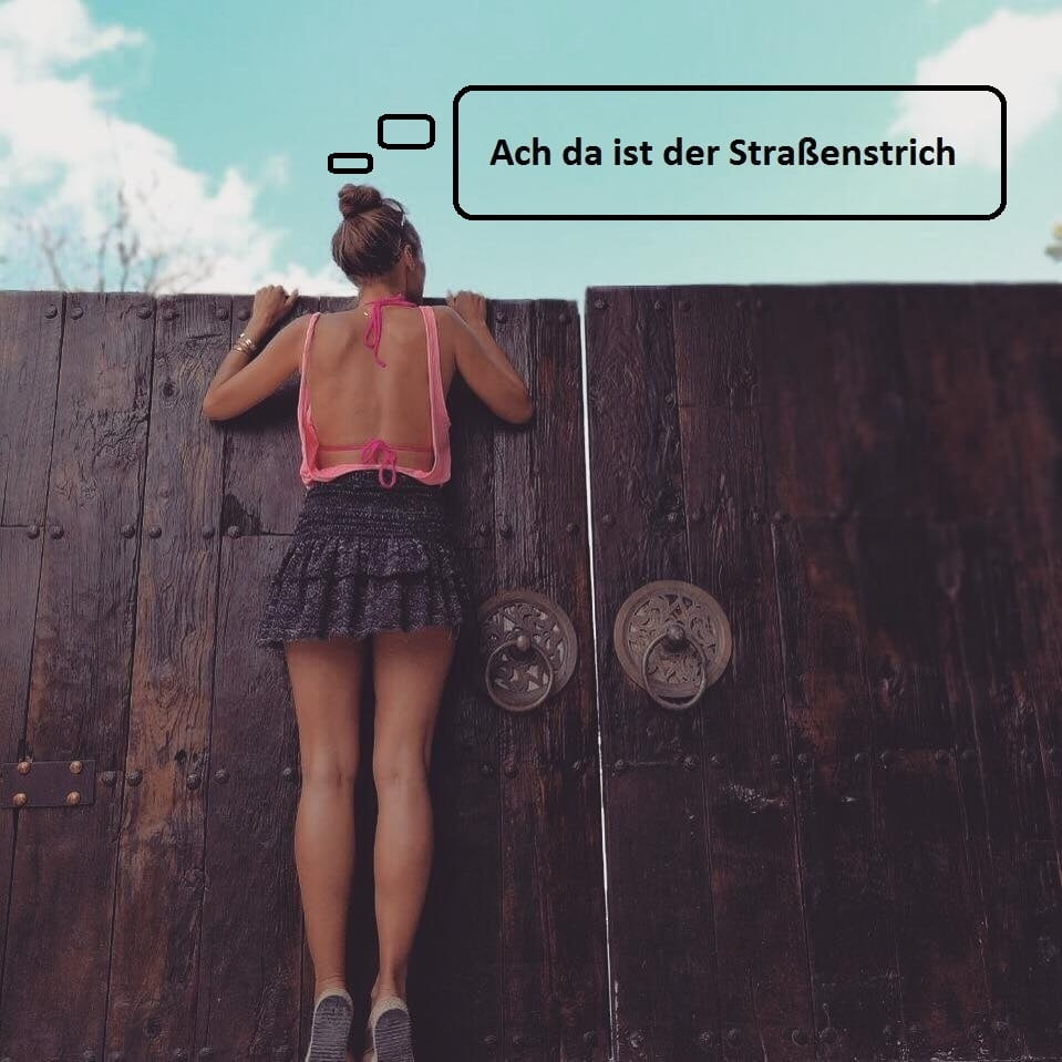 Traum-trio
 #81223166