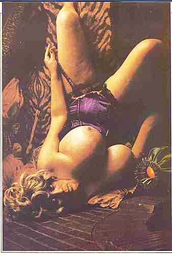 ヴィンテージ・ガエル
 #96246295