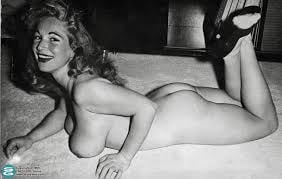 Femme au foyer des années 1950 à gros seins
 #93086422