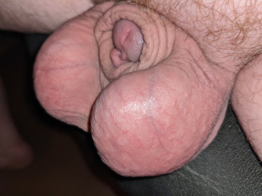 Small Dick, Big Balls Porn Pictures, XXX Photos, Sex Images #4041050 -  PICTOA