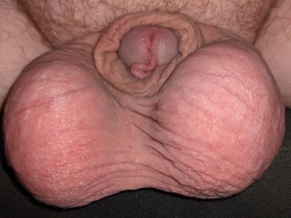 Small Dick, Big Balls #107069233