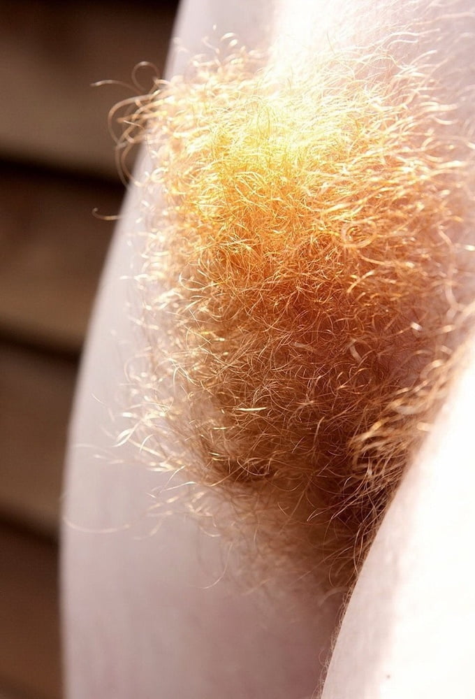 魅惑的な赤と栄光のジンジャーも
 #93898206