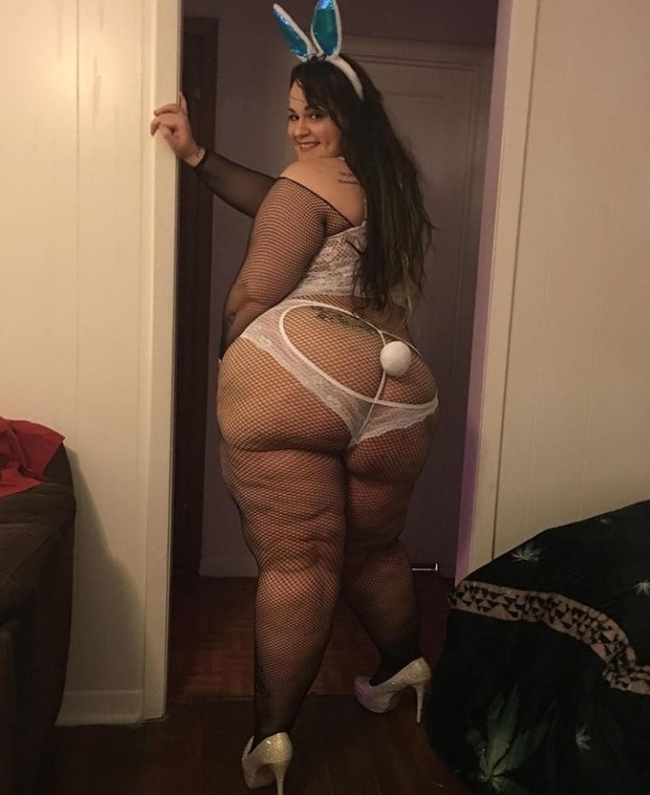 BBW Bunny #99566611