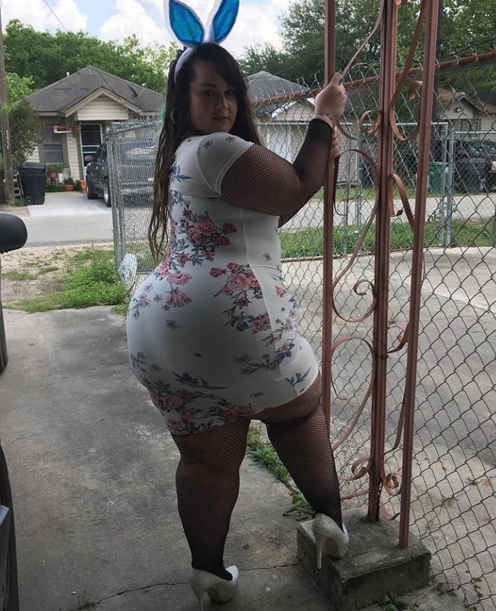 BBW Bunny #99566625