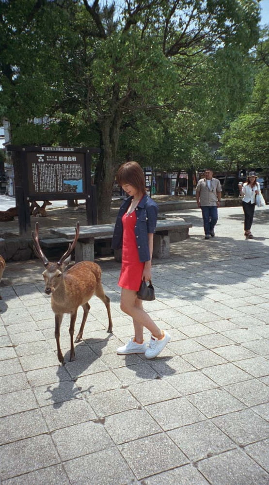 日本の素人-53
 #103212380