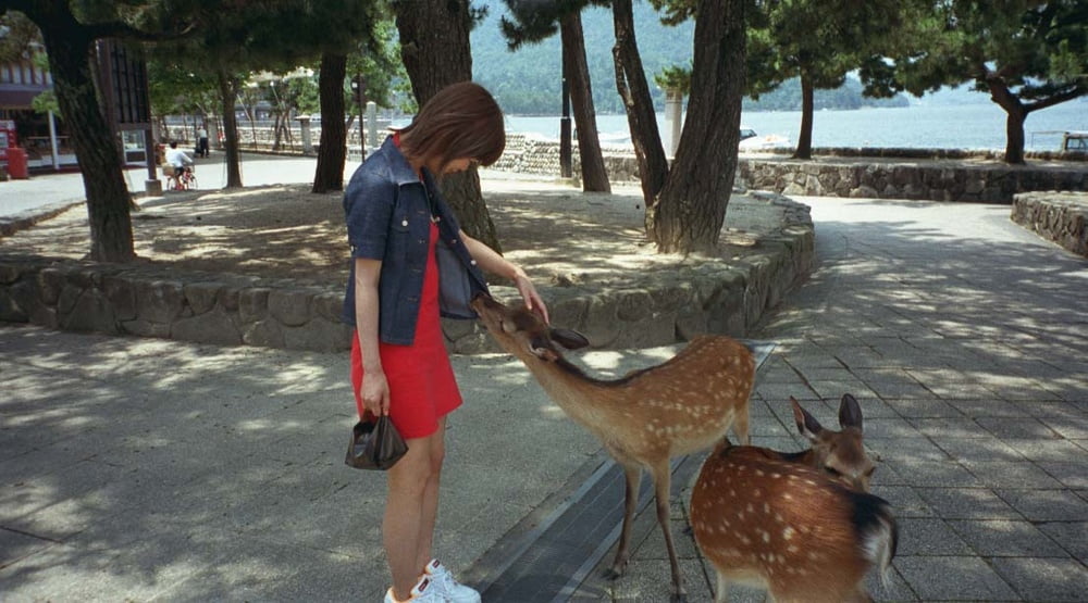 日本の素人-53
 #103212392