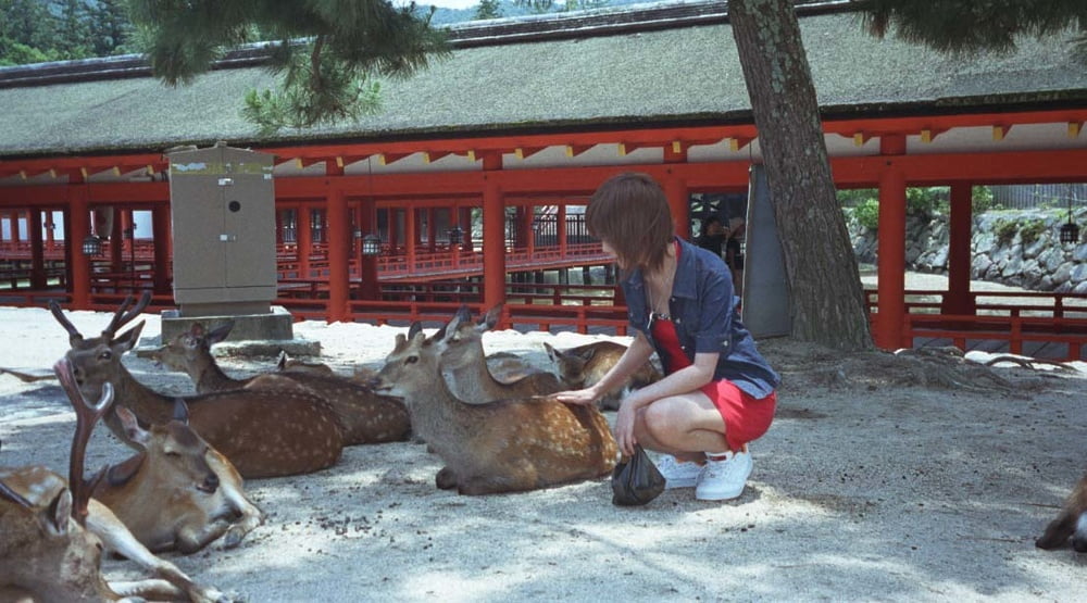 日本の素人-53
 #103212448