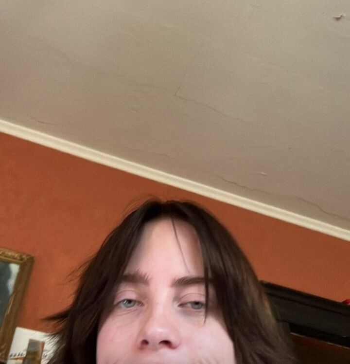 Billie Eilish nude #107537283