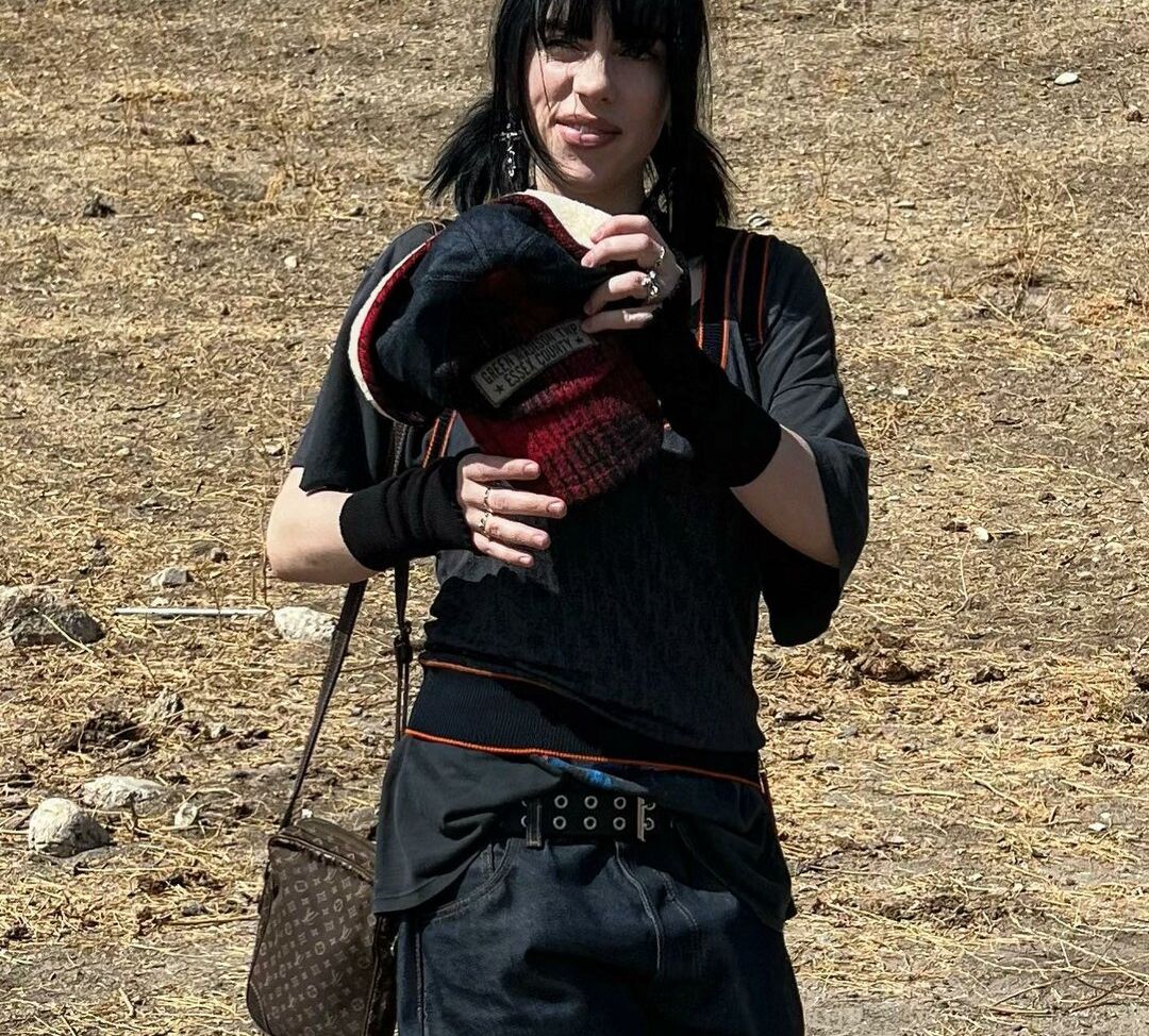 Billie Eilish nude #107537446