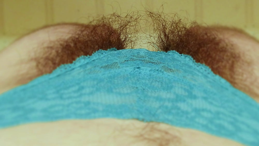 Panty Busch, haarige Arme, Beine, Gruben, Pfade
 #96495969