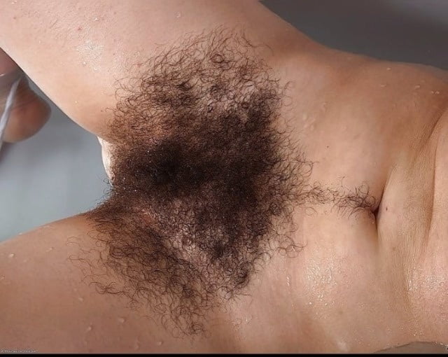 Panty Busch, haarige Arme, Beine, Gruben, Pfade
 #96496068