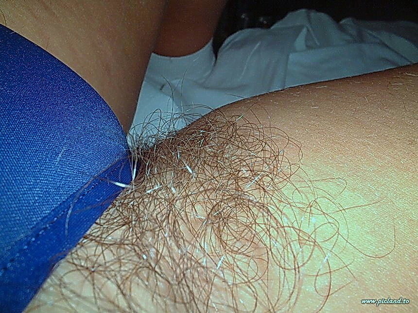 Panty Busch, haarige Arme, Beine, Gruben, Pfade
 #96496092