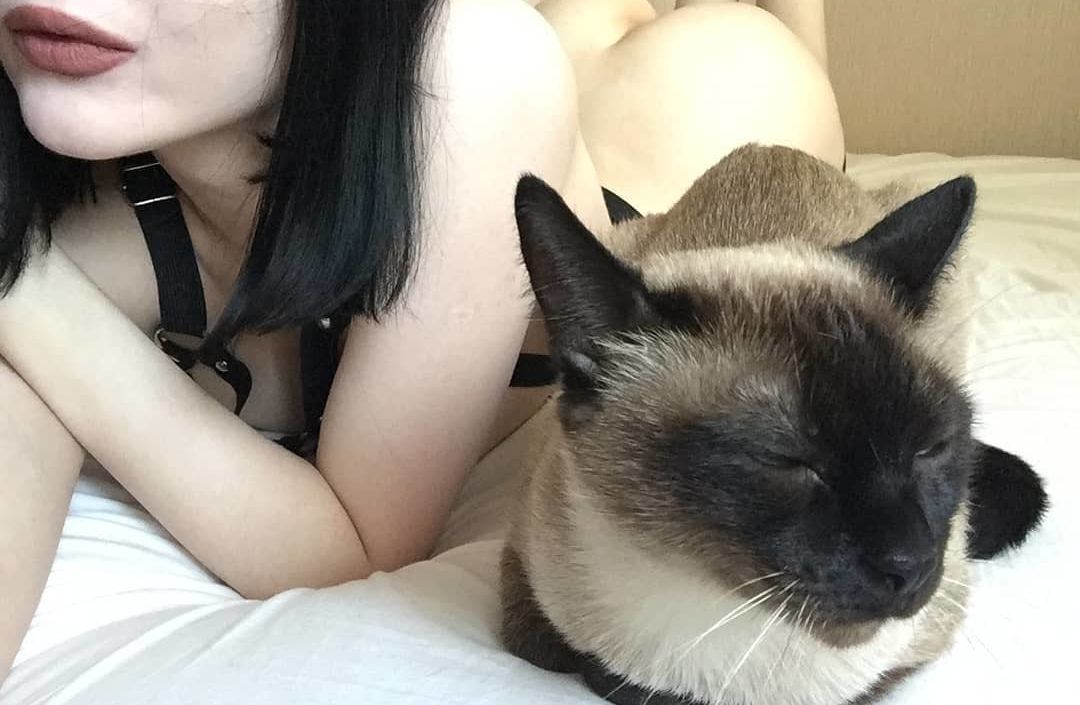 ShadowShine nackt #108240822