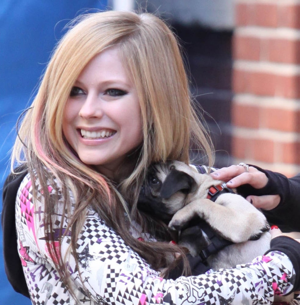 Avril
 #102403208