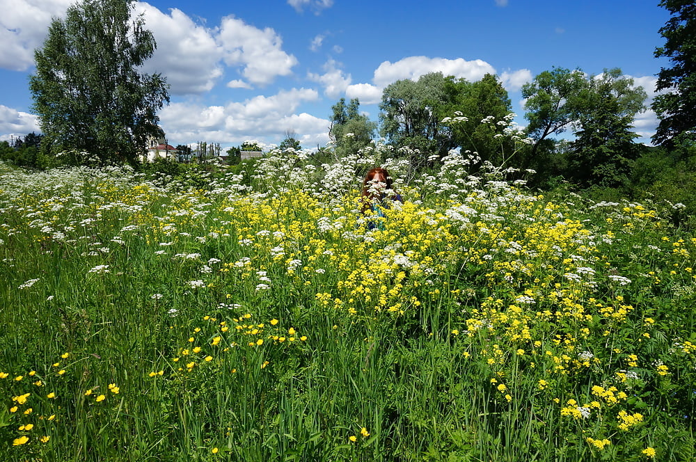 Ma femme en fleurs blanches (près de moscou)
 #106738512