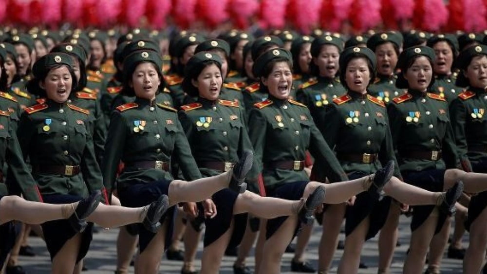 ホットな北朝鮮の女の子
 #91042319