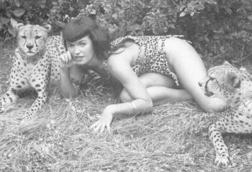 My Bettie Page Collection #103179224