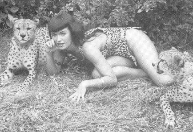 私のbettie pageコレクション
 #103179224