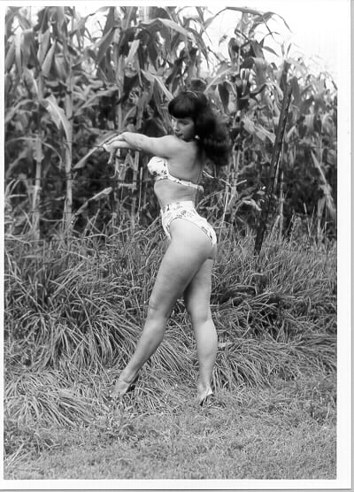 La mia collezione di bettie page
 #103179232