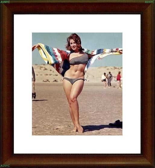 A1NYC June Palmer Vintage Model Actress #91999540