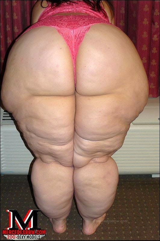 thick n fat ass #90473437