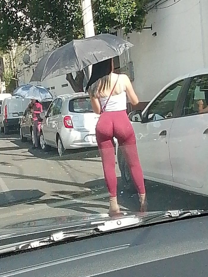 スルティディト
 #94078457