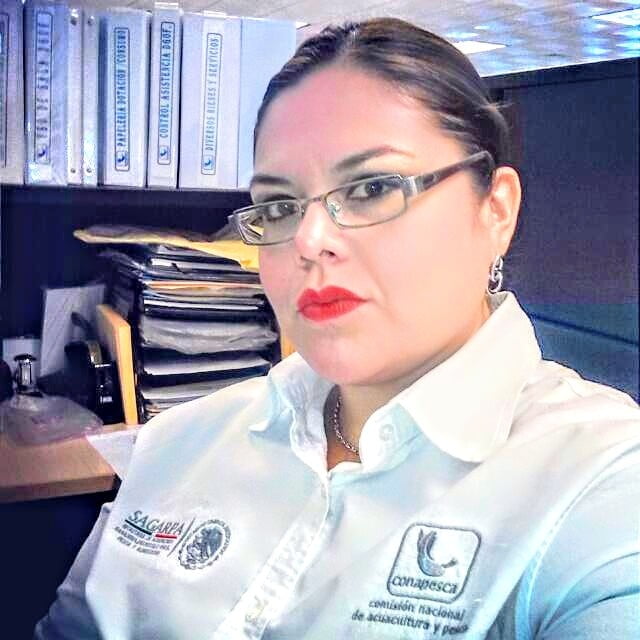Chubby Mexican government employee #106432832