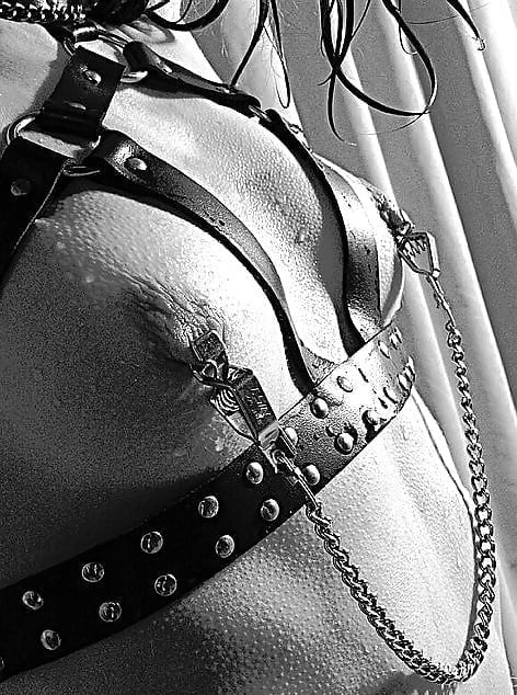 Tout simplement iii
 #101218907