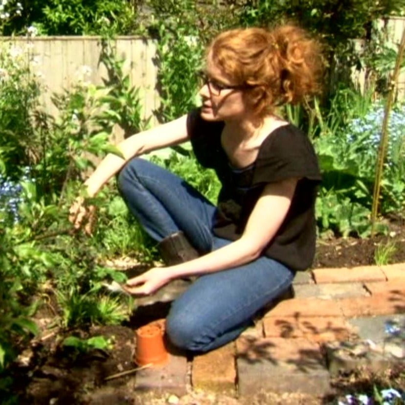 Alys Fowler, Celebrity Gardener, Red Head, Lesbian #98238648