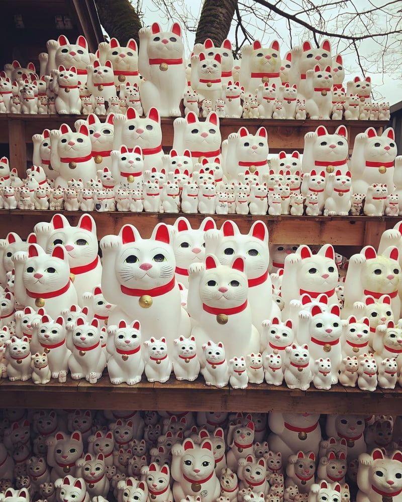 Ohayo! (A taste of Japan) #96065281