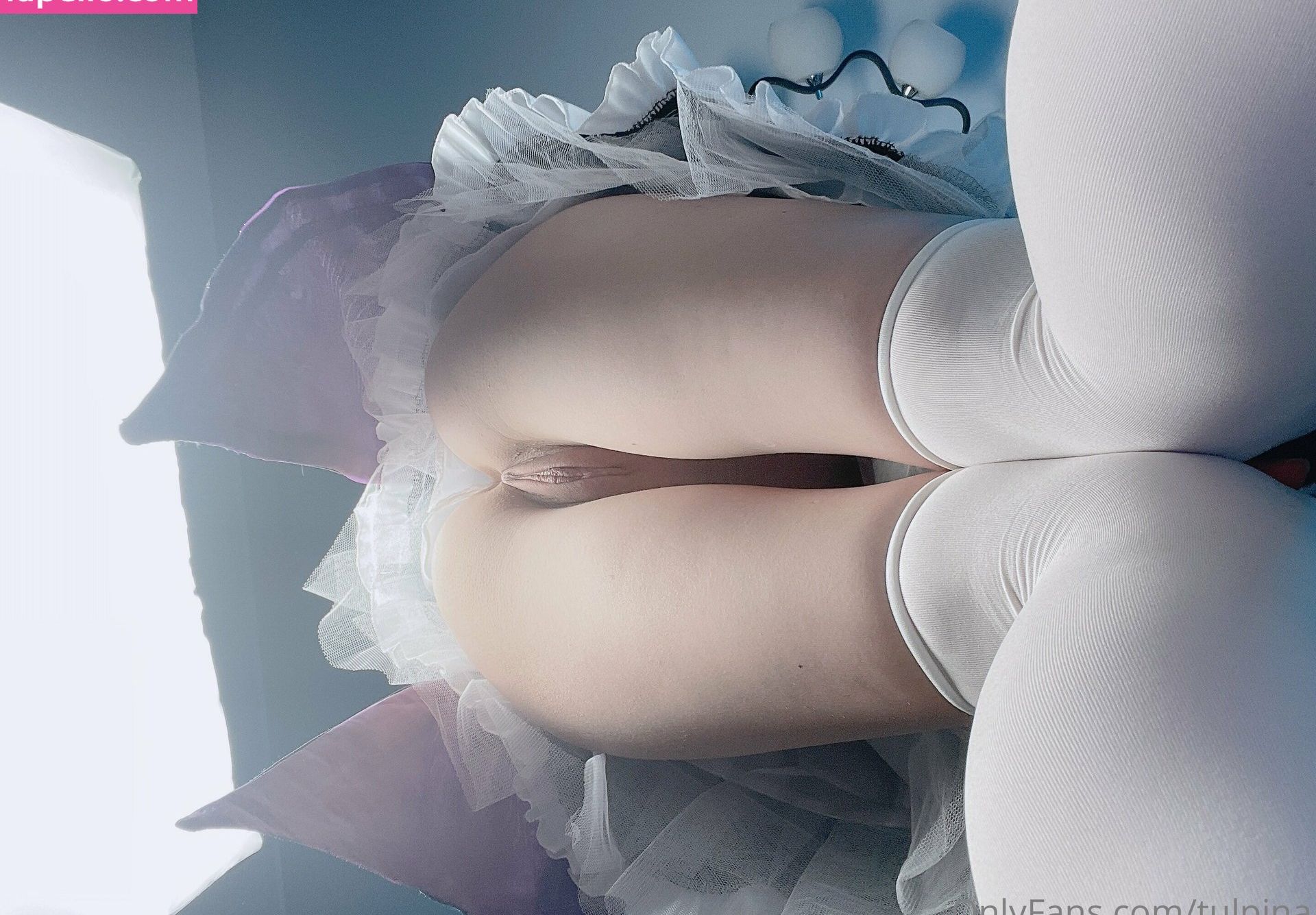 Tulpina desnuda #107931386