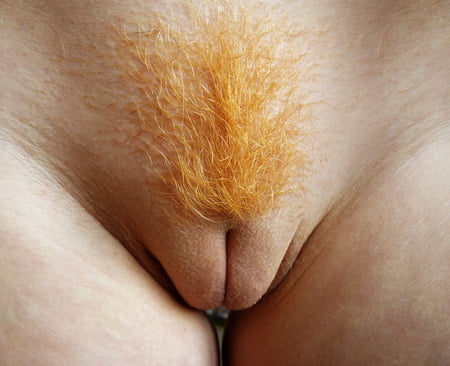 Bad milfs #105064976