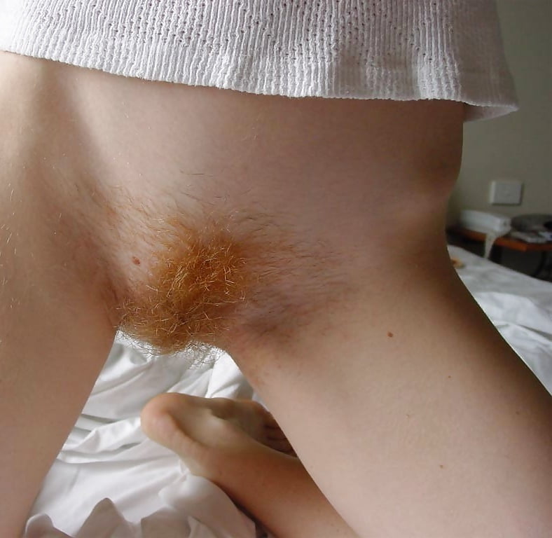 Amateur red hairy pussy mix 2020 #99424629
