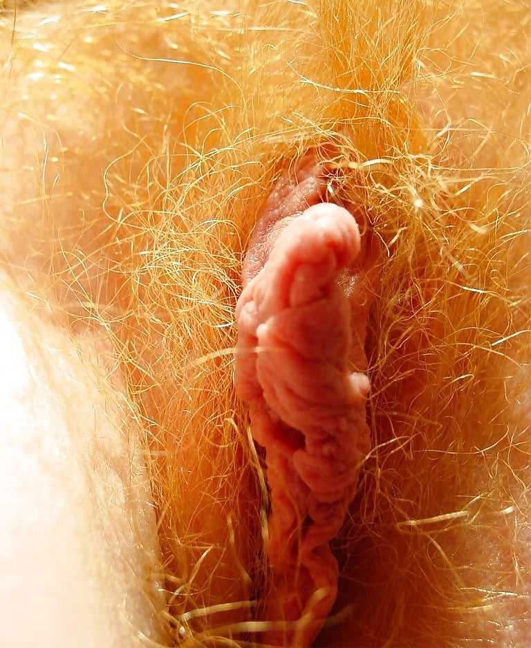 Amateur red hairy pussy mix 2020 #99424635