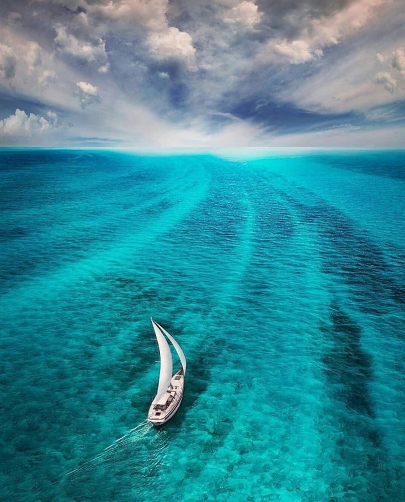 オーシャンソウル
 #90991848