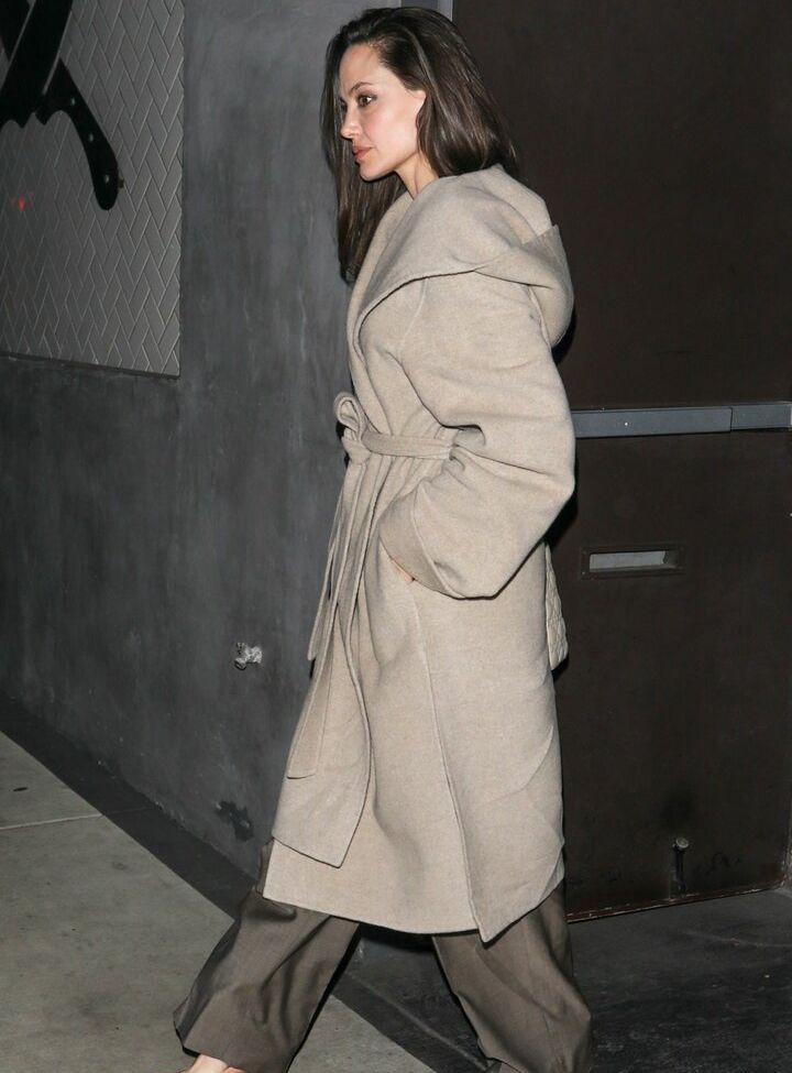 Angelina Jolie desnuda #109183584