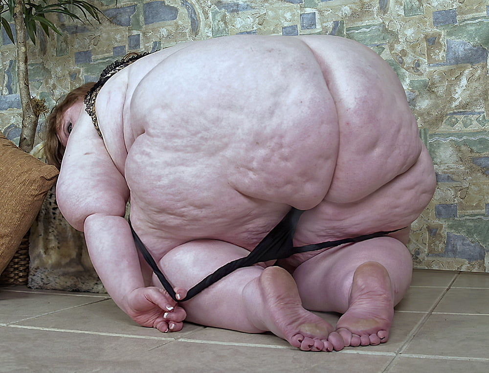 Banco de marranas culonas
 #98320712