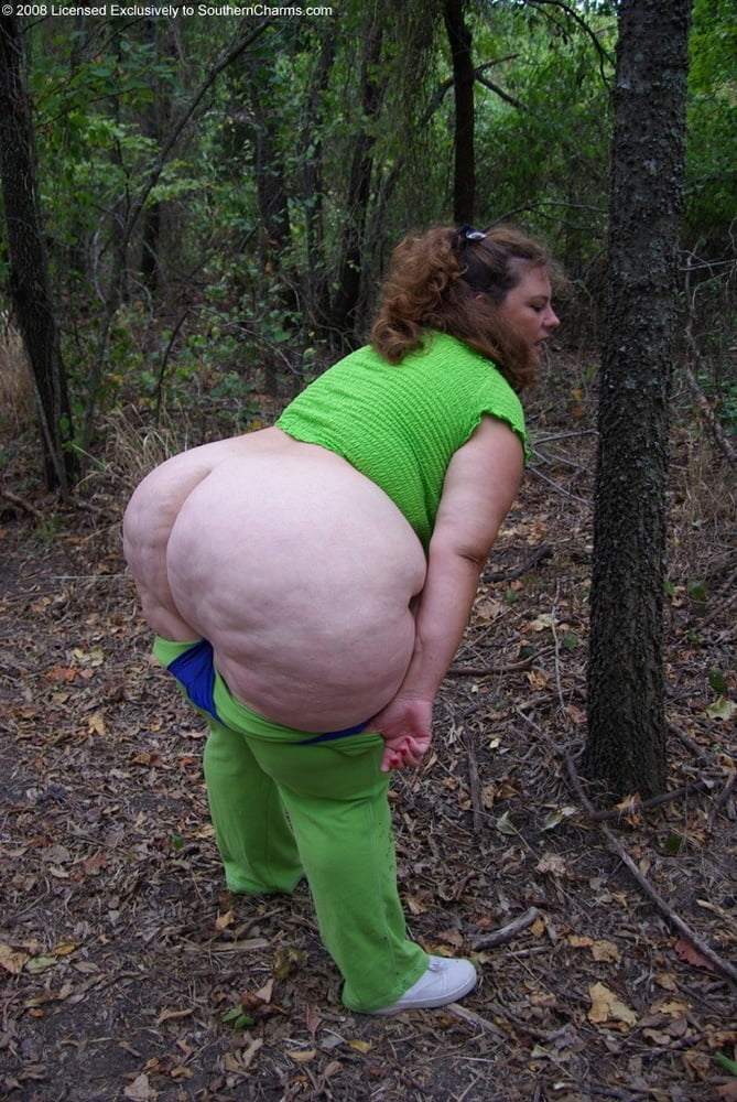 Banco de marranas culonas
 #98320959