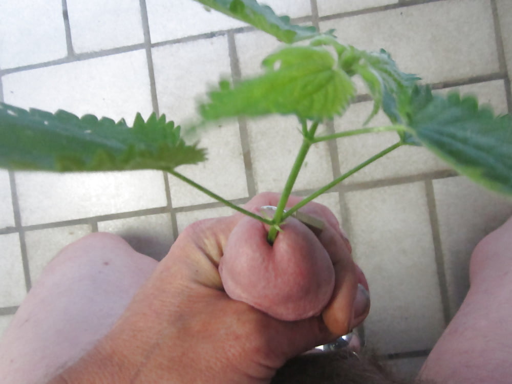 Einfach ICH #107017403